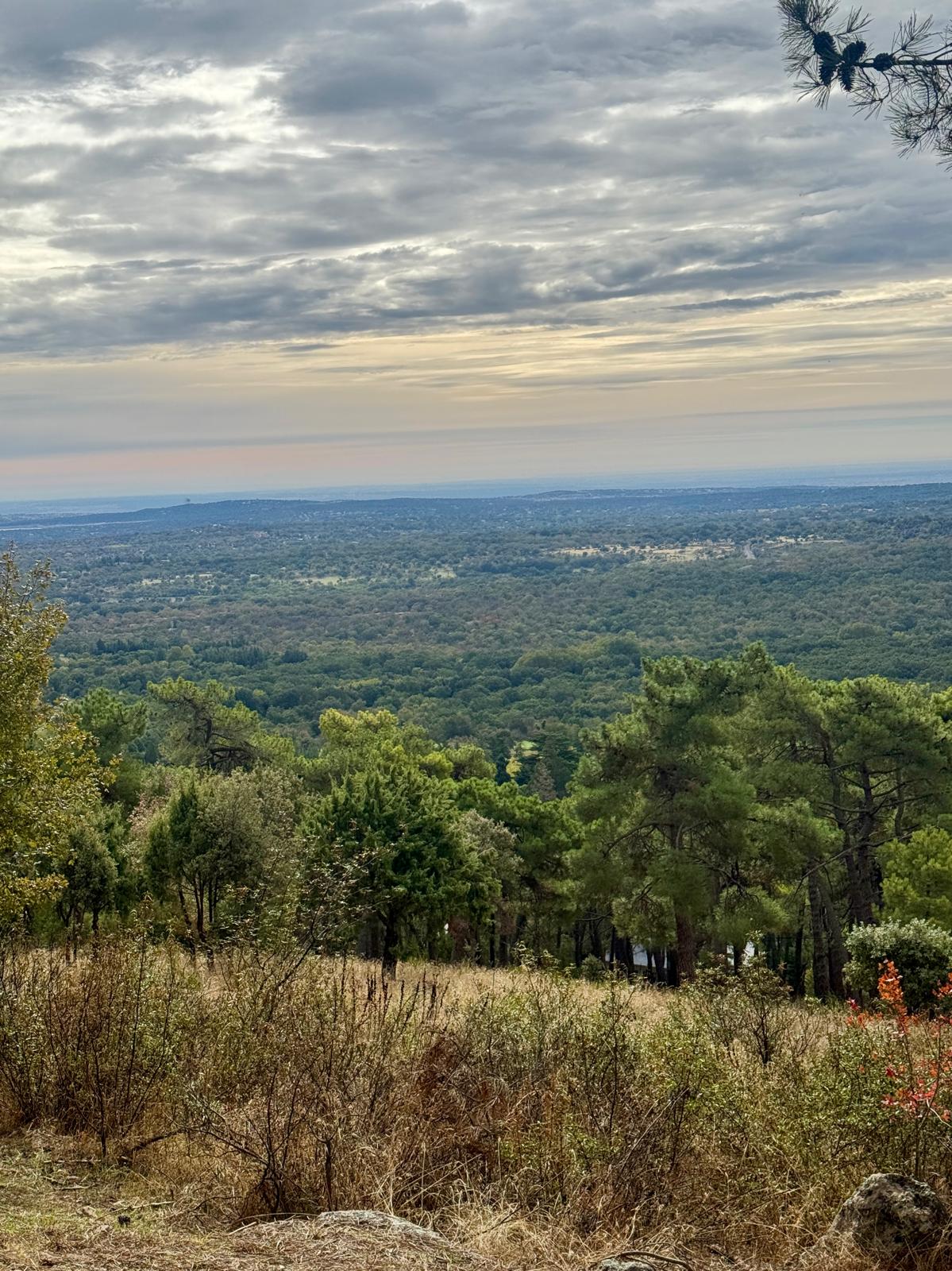 Vistas panorámicas del valle durante la ruta